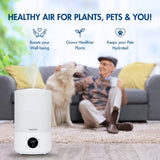 Reffair Caligo 70 Plus Smart Cool Mist Ultrasonic Humidifier for Bedroom, Top-Fill, Essential Oil Diffuser