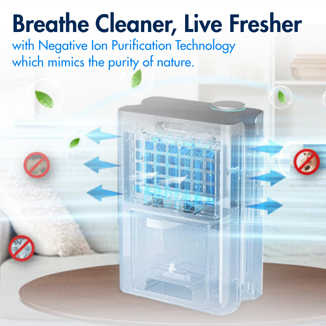 Reffair Dehumidifier DX50 I Energy-efficient 85W I Rate of up to 1000 ml/day I Large 2.4L water tank I Negative Ions, Silent mode, Auto shut-off I Covers 250 ft² I Effortless laundry drying